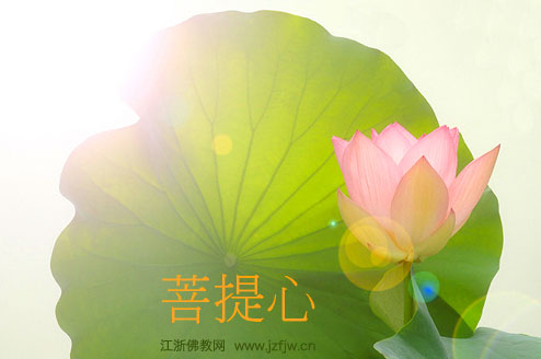 几则经典事迹绝对值得一看! 几则经典事迹绝对值得一看!