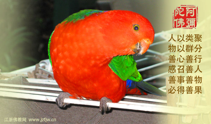 几则经典事迹绝对值得一看! 几则经典事迹绝对值得一看!