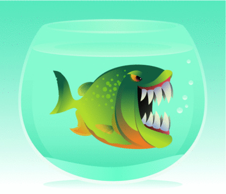 �ź���֮���Ƿ���������۴�