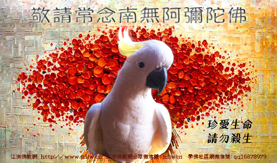 佛菩萨为啥不杀生?因把一切众生看成父母 佛菩萨为啥不杀生?因把一切众生看成父母