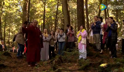 ���Ｊ��������ȫ�������ġ���ɱʥ�ء�