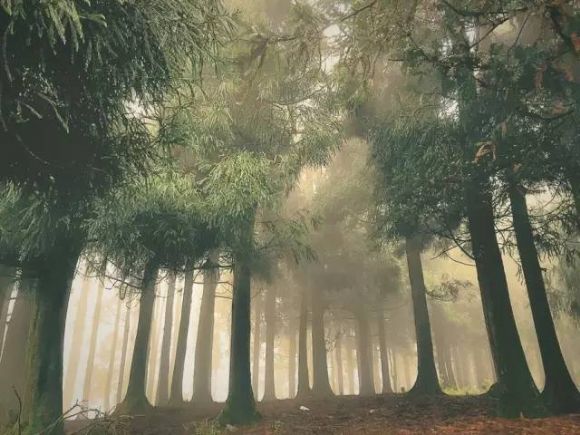 ���Ｊ��������ȫ�������ġ���ɱʥ�ء�