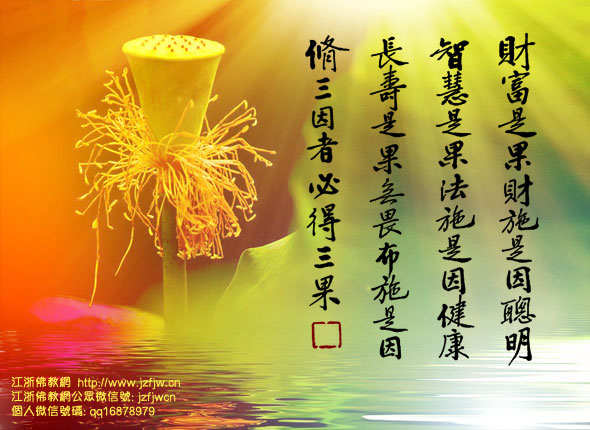 因果连通前世今生,人生不是偶然 因果连通前世今生,人生不是偶然