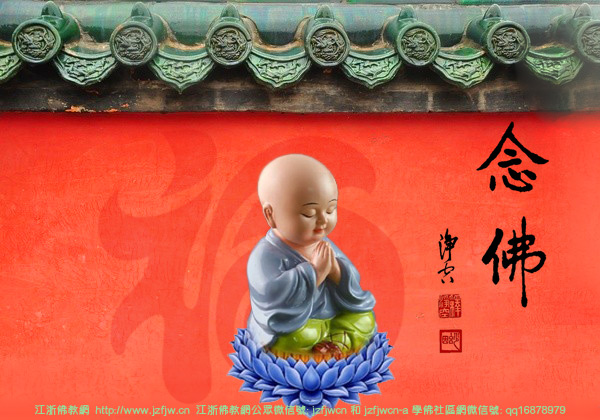 �˲���̫������