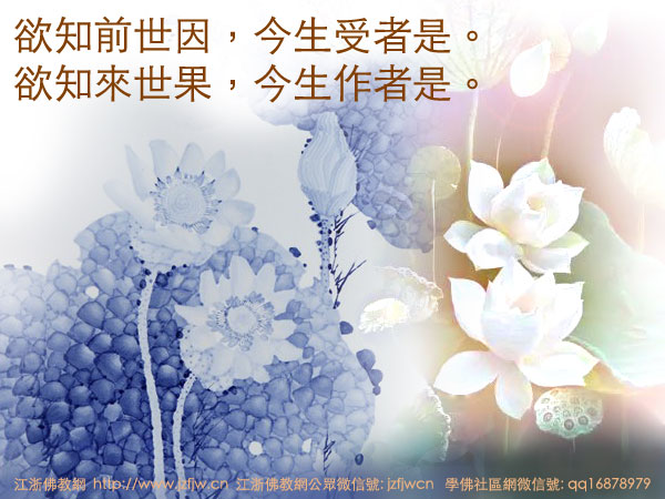 20����Ů��аħ������ĥ��������ѧ�����ʵ����