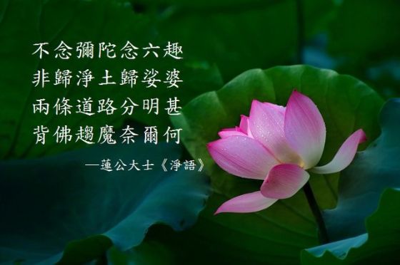 ���˷�ʦ������û��˫ȫ������������