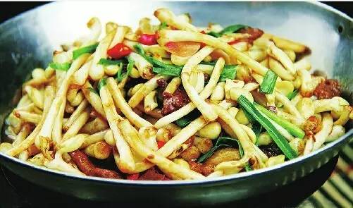 巧用A4纸阳台种菜+推荐一个多吃能长生不老的菜供一家人吃快来学学! 巧用A4纸阳台种菜+推荐一个多吃能长生不老的菜供一家人吃快来学学!