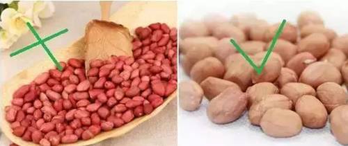 巧用A4纸阳台种菜+推荐一个多吃能长生不老的菜供一家人吃快来学学! 巧用A4纸阳台种菜+推荐一个多吃能长生不老的菜供一家人吃快来学学!