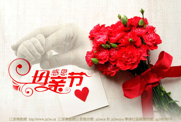 �ذ�ĸ�׽�����ĸ���ĸ�ʮ��Ӧ����