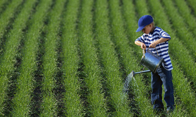 ��������ĺ��Ӻ����г�Ϣ