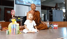 ���������¾����У�һ���˯�ȵ�������̩��С����2016��������