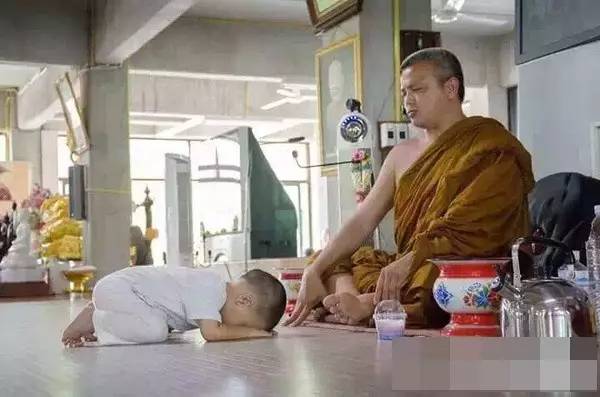 ���������¾����У�һ���˯�ȵ�������̩��С����2016��������