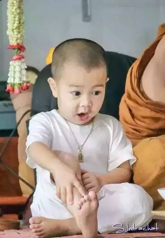 ���������¾����У�һ���˯�ȵ�������̩��С����2016��������