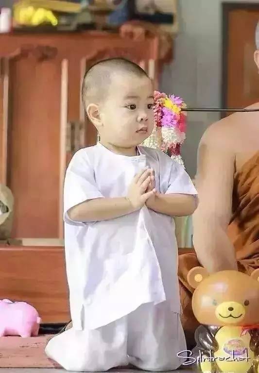 ���������¾����У�һ���˯�ȵ�������̩��С����2016��������