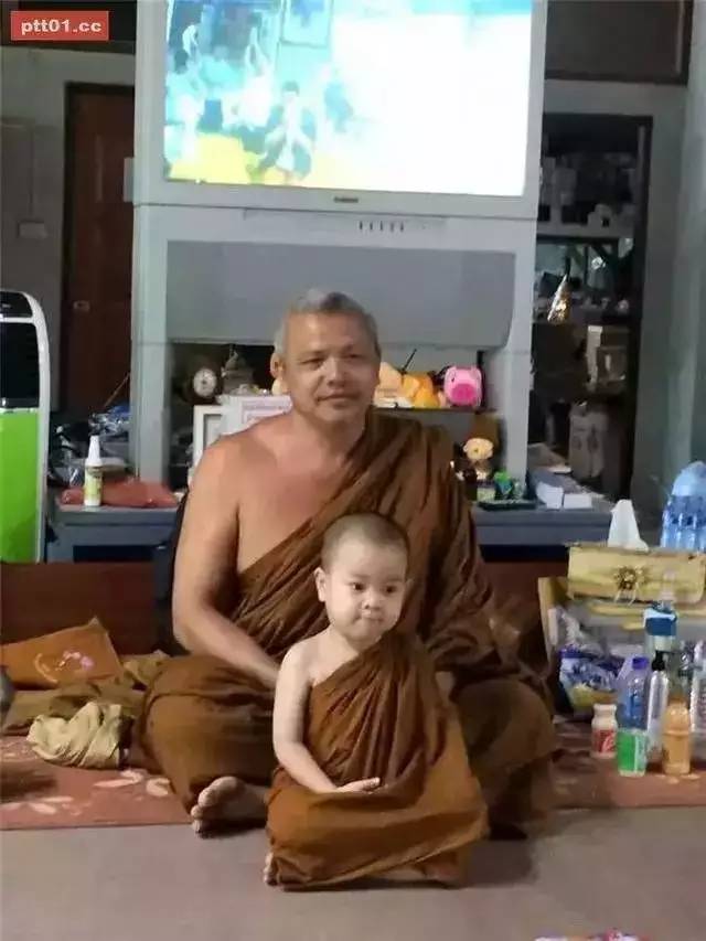 ���������¾����У�һ���˯�ȵ�������̩��С����2016��������