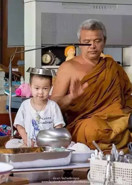 ���������¾����У�һ���˯�ȵ�������̩��С����2016��������