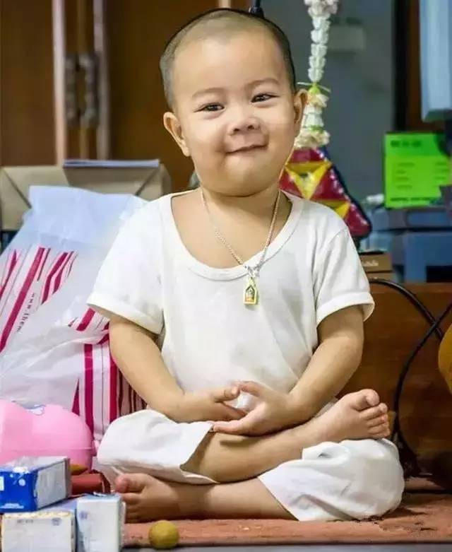 ���������¾����У�һ���˯�ȵ�������̩��С����2016��������