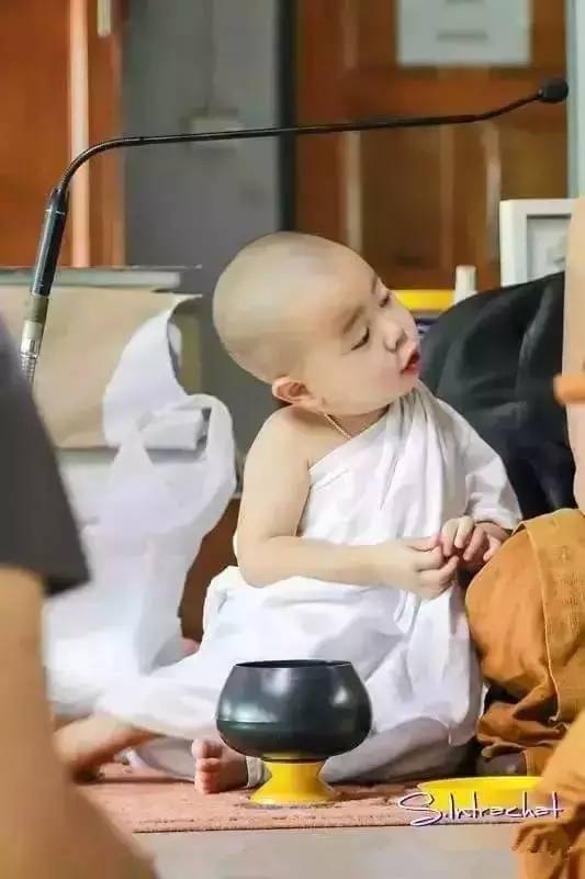 ���������¾����У�һ���˯�ȵ�������̩��С����2016��������