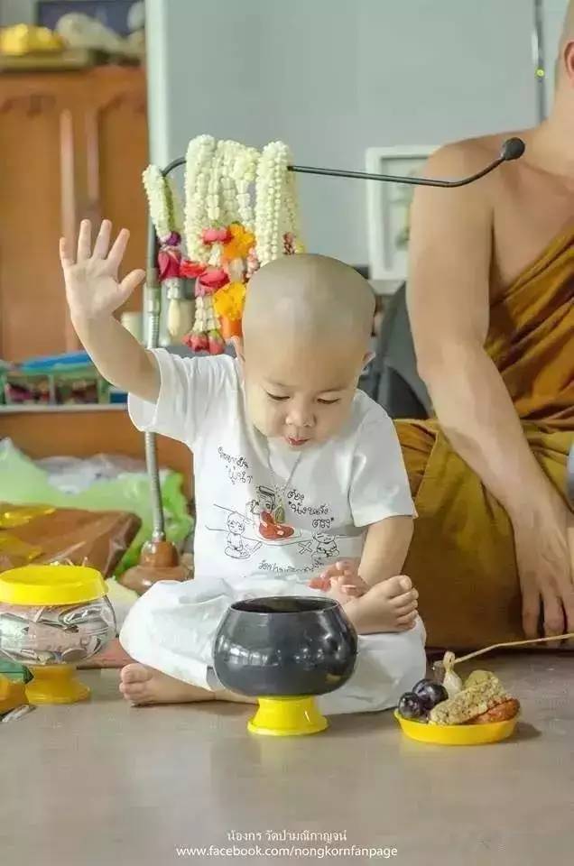 ���������¾����У�һ���˯�ȵ�������̩��С����2016��������