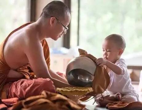 ���������¾����У�һ���˯�ȵ�������̩��С����2016��������