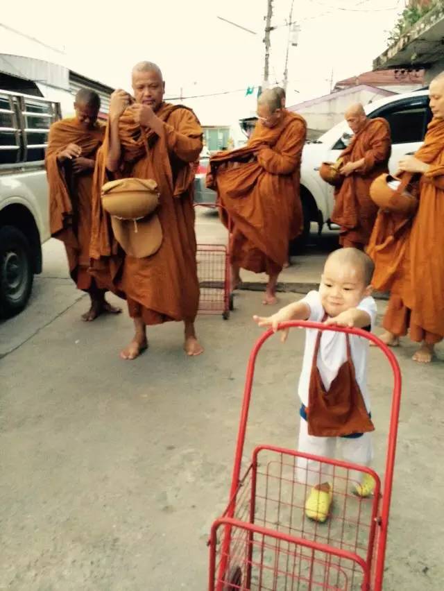 ���������¾����У�һ���˯�ȵ�������̩��С����2016��������