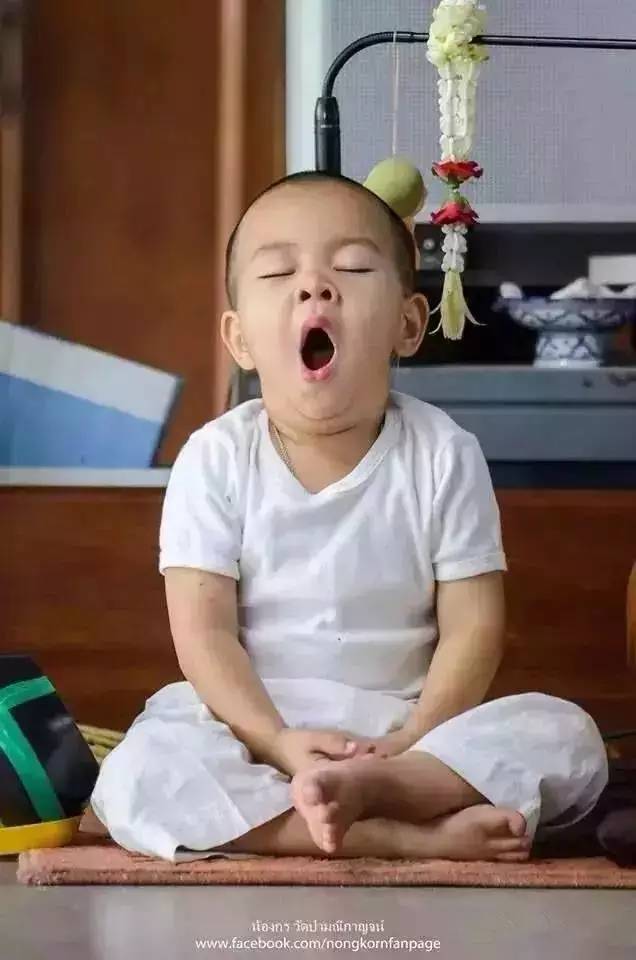 ���������¾����У�һ���˯�ȵ�������̩��С����2016��������