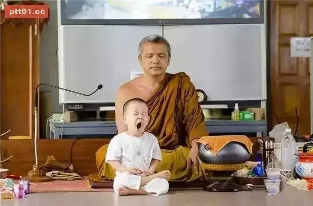 ���������¾����У�һ���˯�ȵ�������̩��С����2016��������