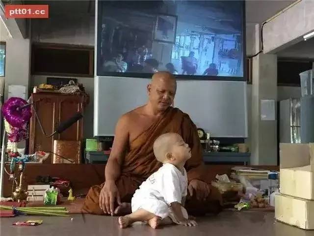 ���������¾����У�һ���˯�ȵ�������̩��С����2016��������