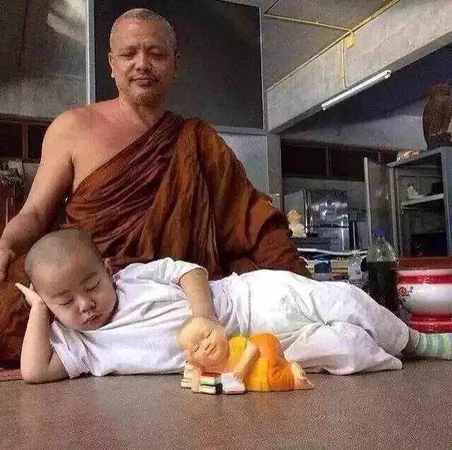 ���������¾����У�һ���˯�ȵ�������̩��С����2016��������