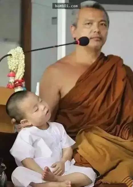 ���������¾����У�һ���˯�ȵ�������̩��С����2016��������