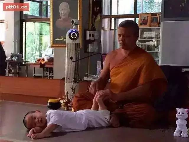 ���������¾����У�һ���˯�ȵ�������̩��С����2016��������