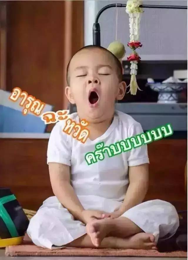 ���������¾����У�һ���˯�ȵ�������̩��С����2016��������