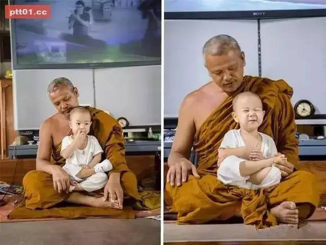 ���������¾����У�һ���˯�ȵ�������̩��С����2016��������