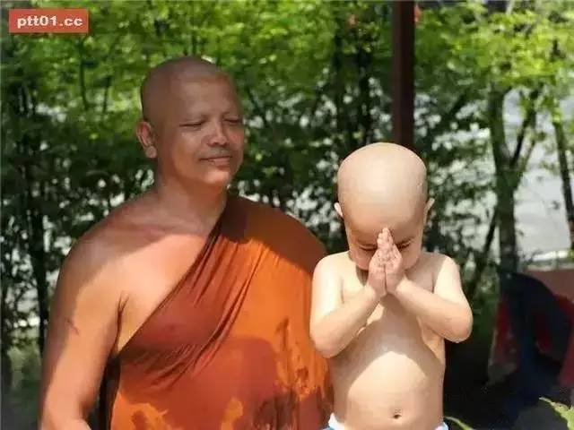 ���������¾����У�һ���˯�ȵ�������̩��С����2016��������