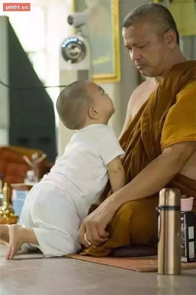 ���������¾����У�һ���˯�ȵ�������̩��С����2016��������