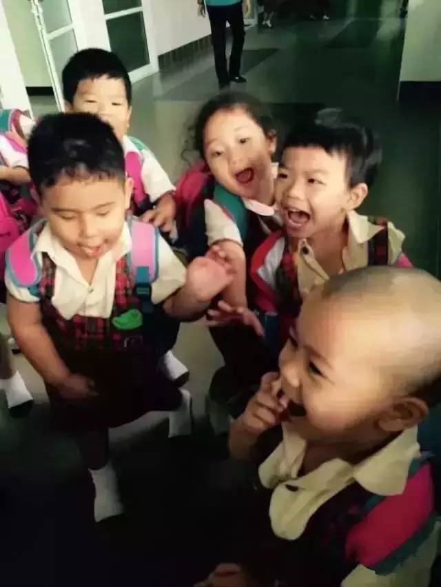 ���������¾����У�һ���˯�ȵ�������̩��С����2016��������