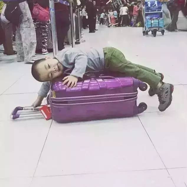 ���������¾����У�һ���˯�ȵ�������̩��С����2016��������