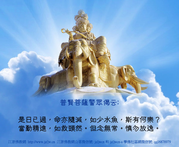 是日已過,命亦隨減,如少水魚,斯有何樂? 是日已過,命亦隨減,如少水魚,斯有何樂?