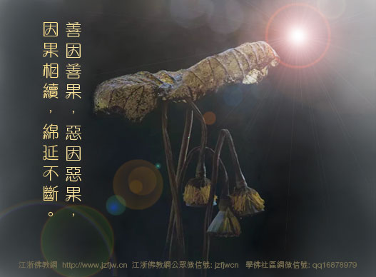 ������飬��ҽ26�����������𺳱���