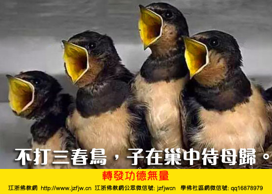 ��ʵ�������ʳ��������״����