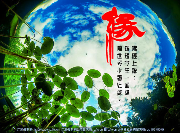 ������һ��Ե����ϧ������Ȼ