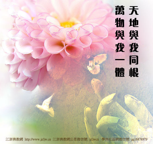 һֻС���ڷ����ϵ�ʾ��