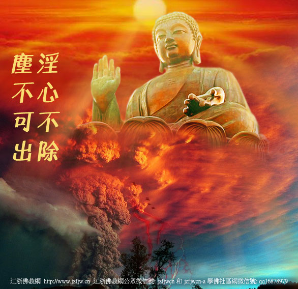 �����²��������ԡ������ʶ��޺��ۡ��ĳ��ײ���