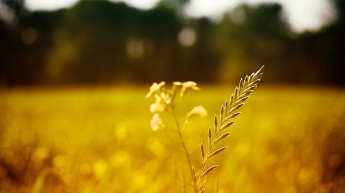 �������ǽ���_����һ����ʼ