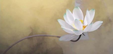 ��Ӧ��˵��׬Ǯ��Ӧ��˵���ร