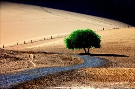 �ܲ�����ǰ�滮�����������м�ֵ�أ�