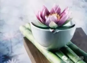 ������һ����˶�ԩ������ɫ��