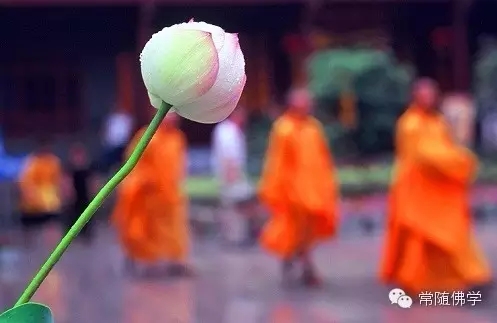 ���費�Ƿ���������