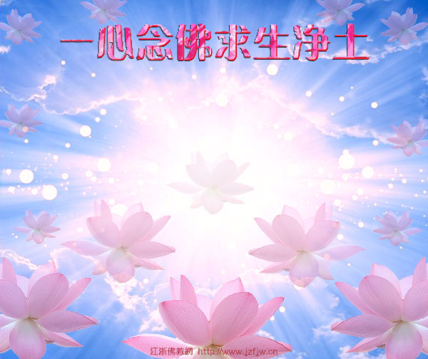 �������˲����ھ�������֮��