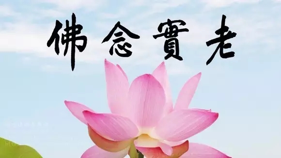 ��ϼ����ת�����������ĺ��Ӱ�����ĸ�Ӧ����